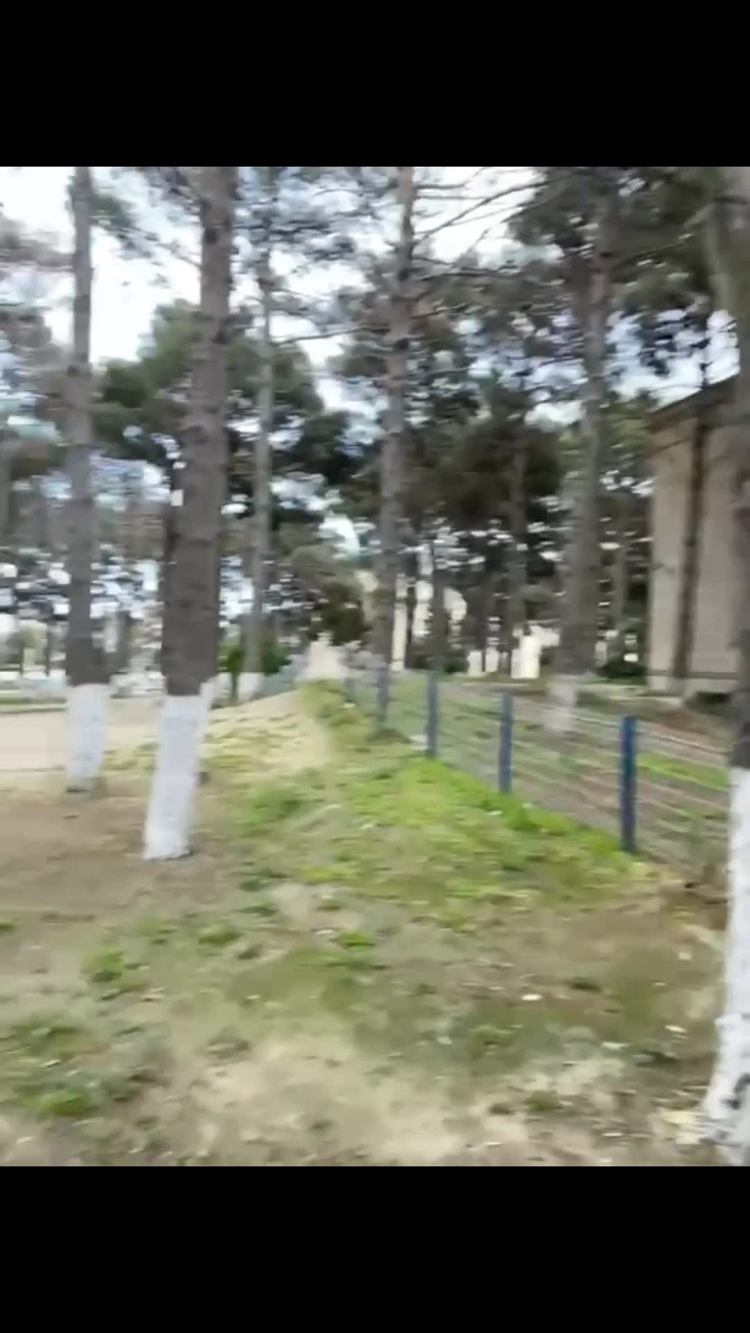 Xırdalan parkında üzəri açıq naqillər