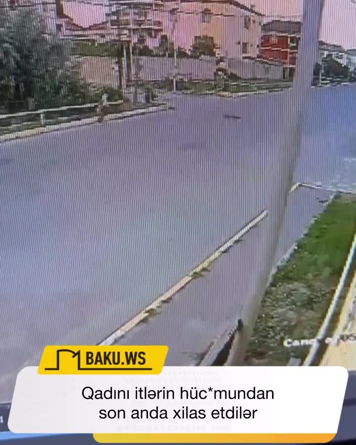 Qadını itlərin hücumundan son anda xilas etdilər 