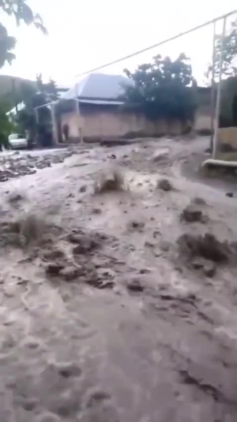 Göygölün bu kəndinə güclü sel gəlib