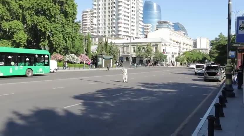 Nəsimidə profilaktik tədbir keçirilib