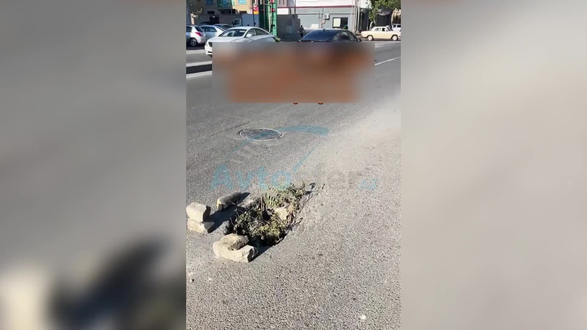 Xırdalanda qapaqsız qalan lyuk budaq və daşlarla nişanlandı