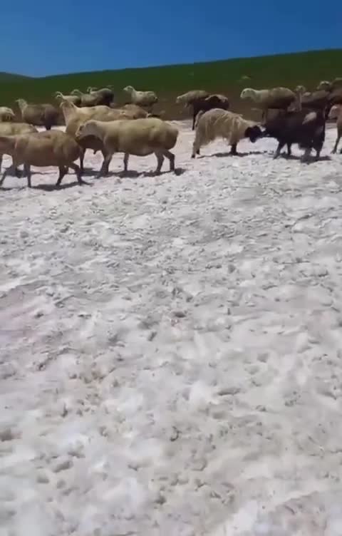 Azərbaycanda hələ belə olmamışdı