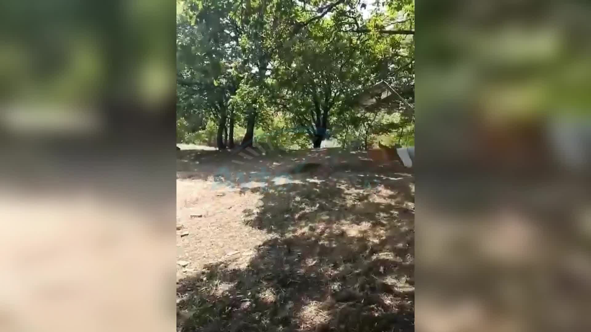 Şamaxıdakı antisanitar vəziyyət aradan qaldırıldı