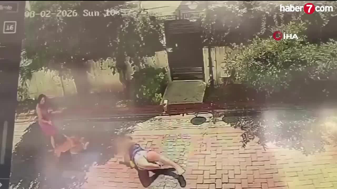 Pitbull azyaşlı qıza hücum etdi 
