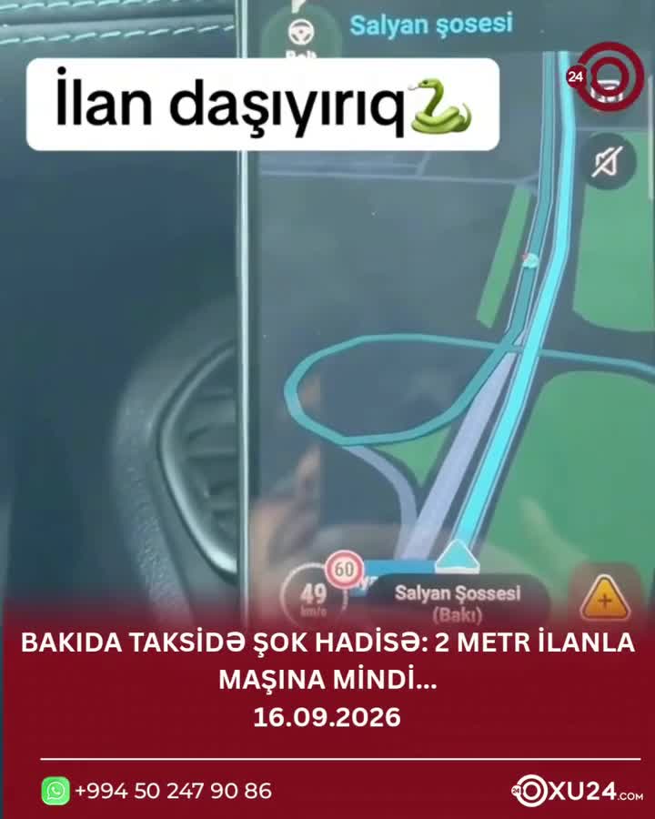 Nəhəng ilanla taksiyə minmək istədi