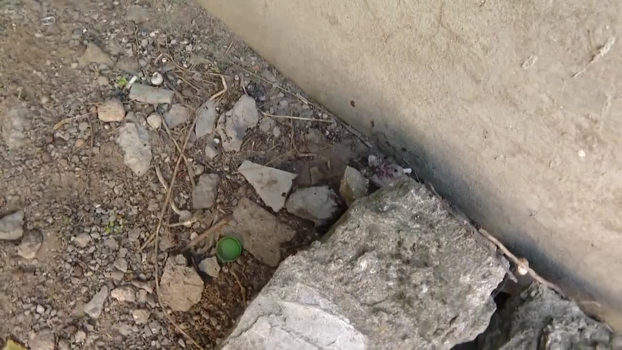 Bacısı oğlu tərəfindən bıçaqlandı