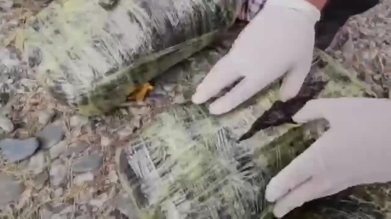 Qaxda əməliyyat