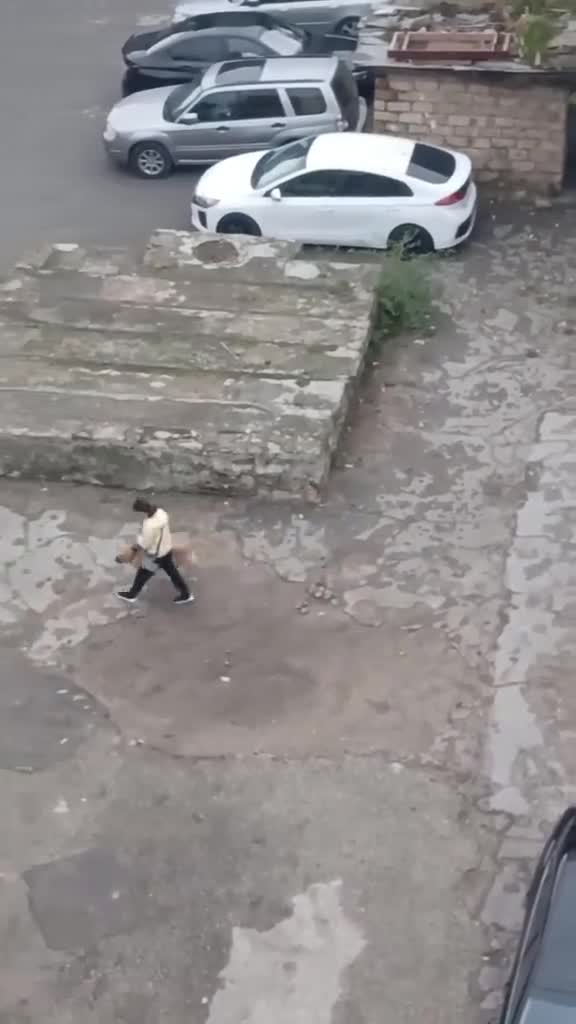 Bakıda it sahibi tərəfindən döyüldü 