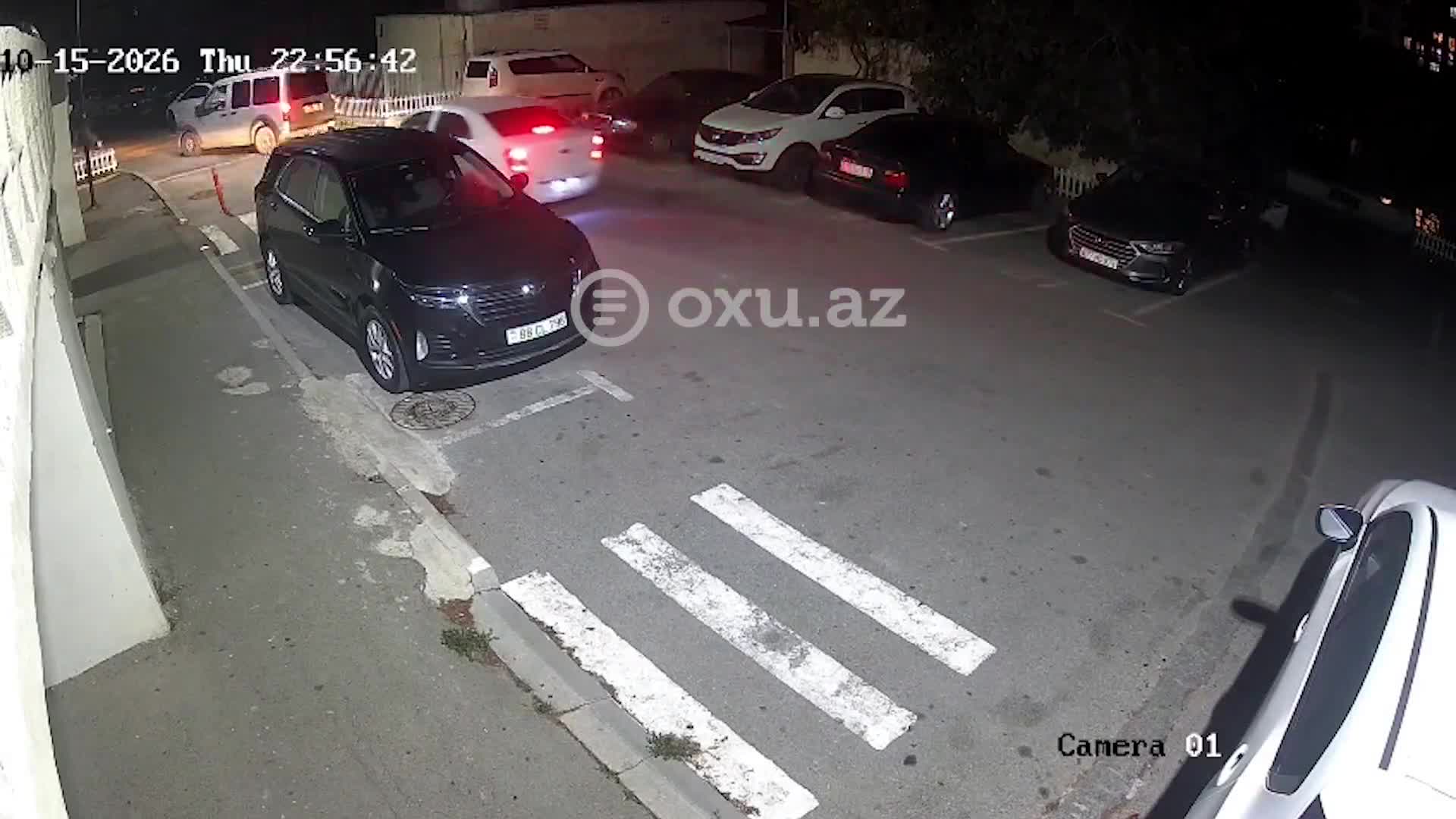 Bakıda küçə itləri sakinlərə hücum çəkdi