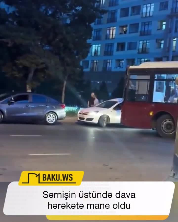 srnisin dava